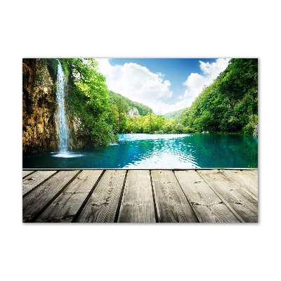 Bild auf Acrylglas Wasserfall im Wald