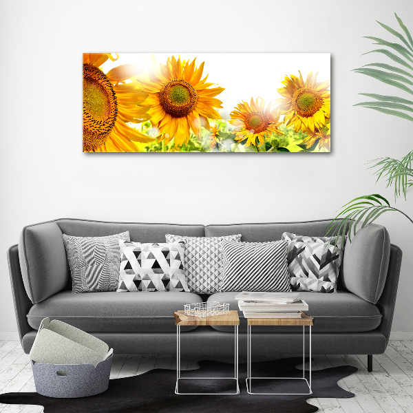 Acrylglas-Druck Sonnenblumen