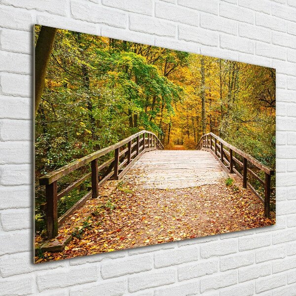 Acrylglas-Druck Brücke im Herbstwald