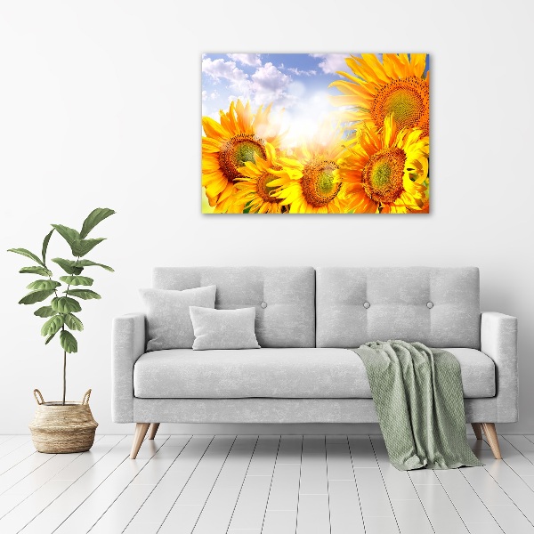 Bild auf Acrylglas Sonnenblumen