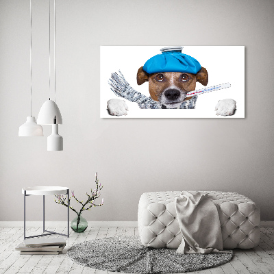 Foto auf Acryl Kranker Hund