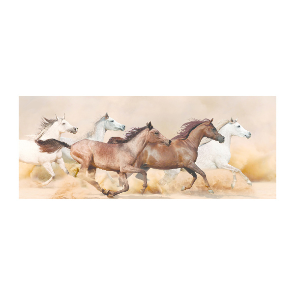 Bild auf Acrylglas Pferde im Galopp