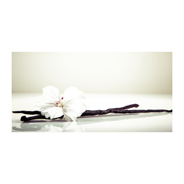 Acrylglas-Druck Vanilleschote