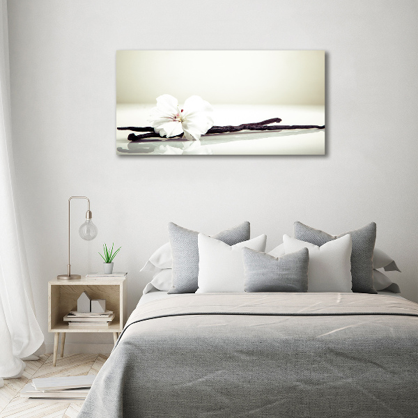 Acrylglas-Druck Vanilleschote