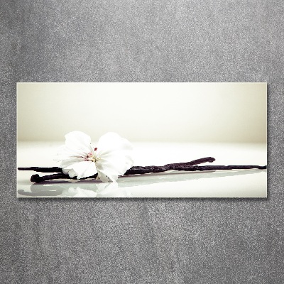 Acrylglas-Druck Vanilleschote