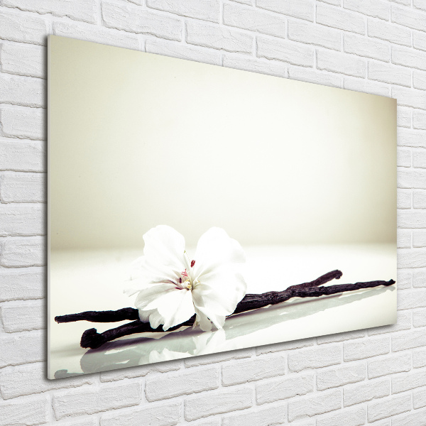 Acrylglas-Druck Vanilleschote