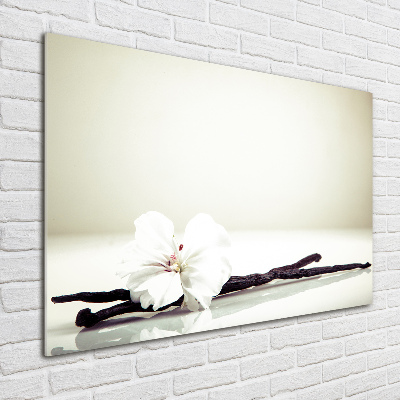 Acrylglas-Druck Vanilleschote