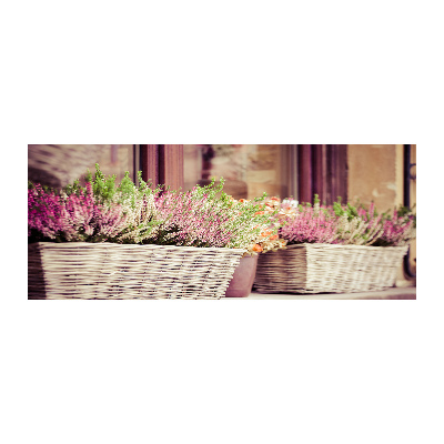 Acrylbild Fotodruck Lavendel im Topf