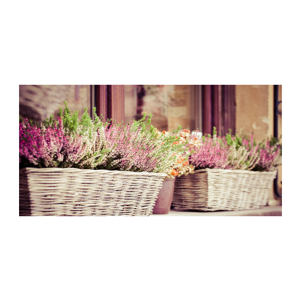 Acrylbild Fotodruck Lavendel im Topf