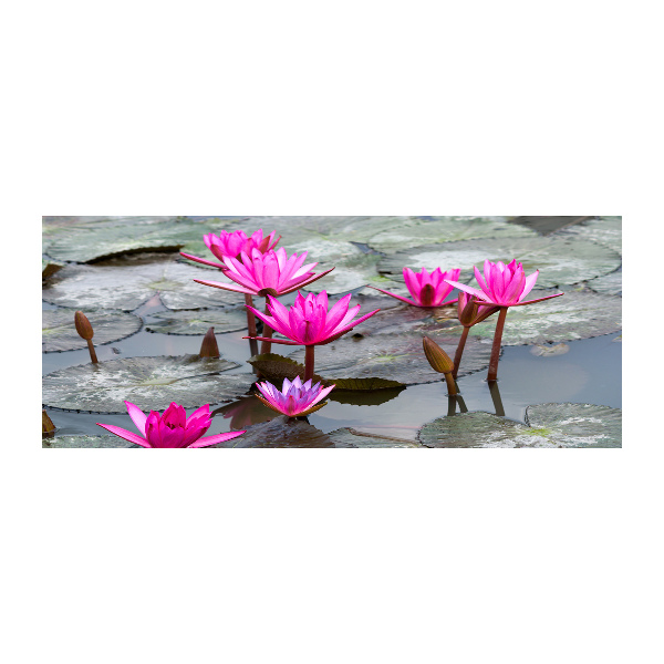 Acrylglas-Druck Lotosblume