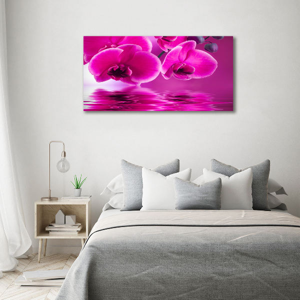Foto auf Acryl Orchidee