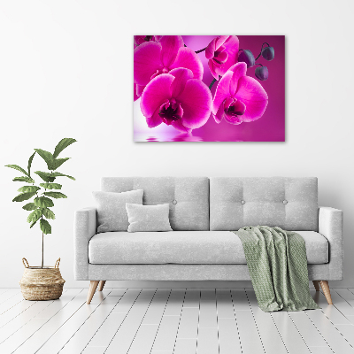 Foto auf Acryl Orchidee