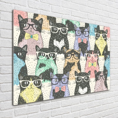 Acrylbild Fotodruck Katzen mit Brille