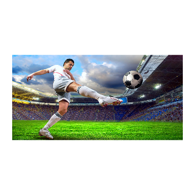 Acrylglas-Druck Ein Fußballspieler im Stadion