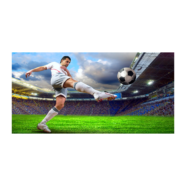 Acrylglas-Druck Ein Fußballspieler im Stadion