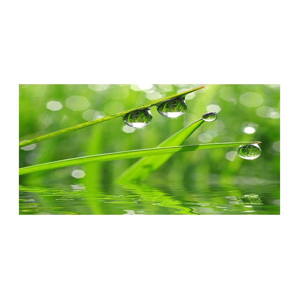 Foto auf Acryl Tropfen auf dem Gras