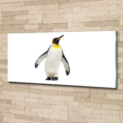 Bild auf Acrylglas Pinguin