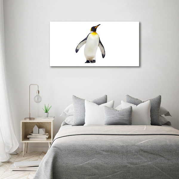 Bild auf Acrylglas Pinguin