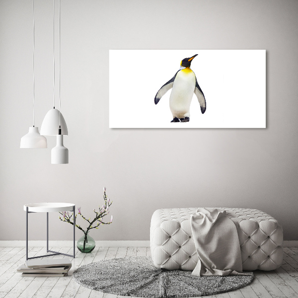 Bild auf Acrylglas Pinguin
