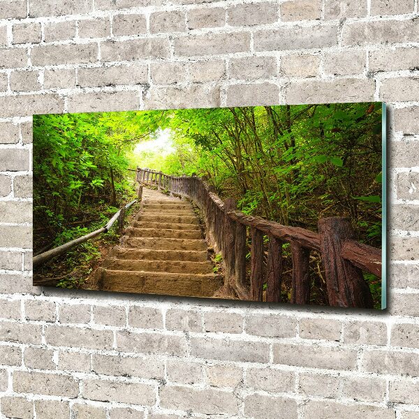 Acrylbild Fotodruck Treppe im Wald