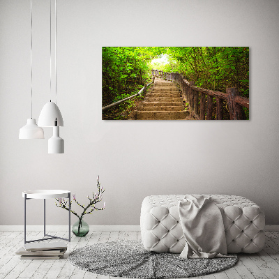 Acrylbild Fotodruck Treppe im Wald