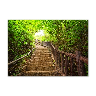 Acrylbild Fotodruck Treppe im Wald