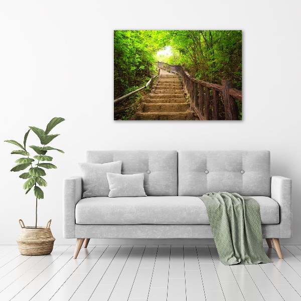 Acrylbild Fotodruck Treppe im Wald