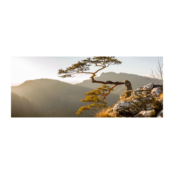 Foto auf Acryl Sokolica Pieniny