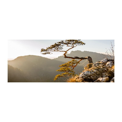 Foto auf Acryl Sokolica Pieniny