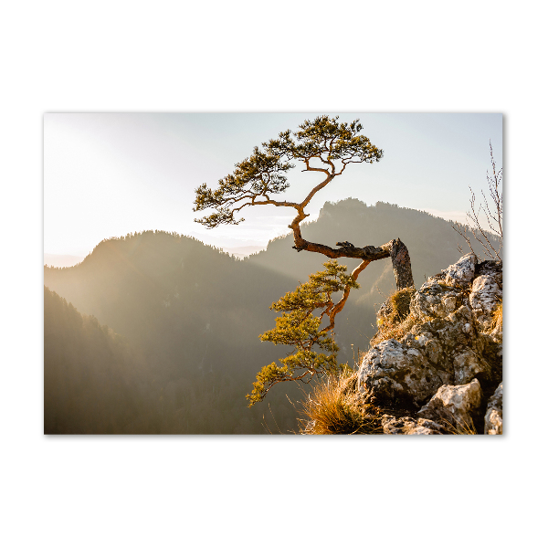 Foto auf Acryl Sokolica Pieniny