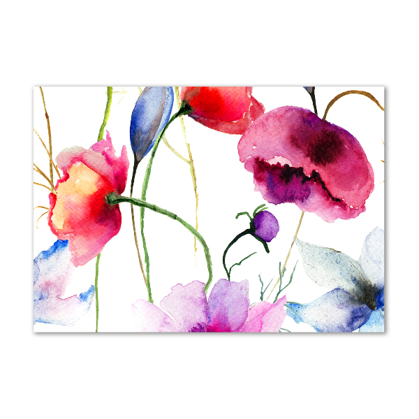 Acrylbild Fotodruck Mohnblumen