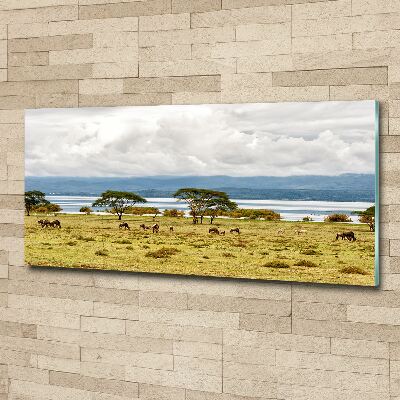 Acrylbild Fotodruck Naivasha-See