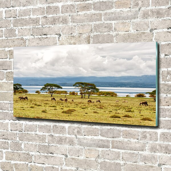 Acrylbild Fotodruck Naivasha-See