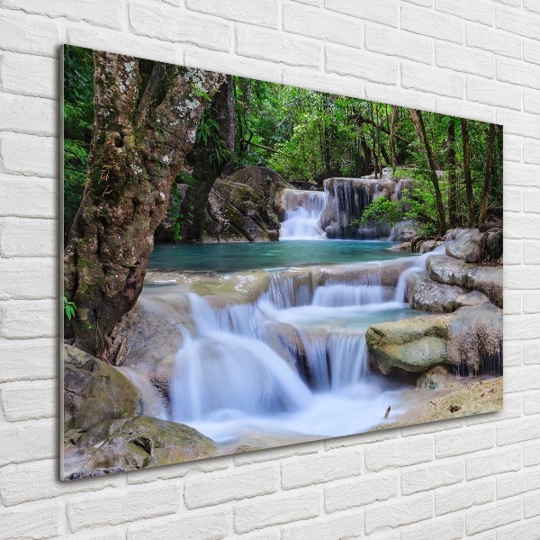 Acrylbild Fotodruck Wasserfall im Wald