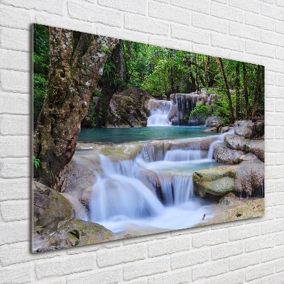 Acrylbild Fotodruck Wasserfall im Wald