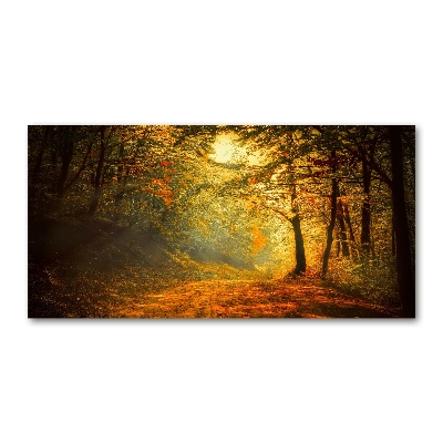 Acrylglas-Druck Wald im Herbst