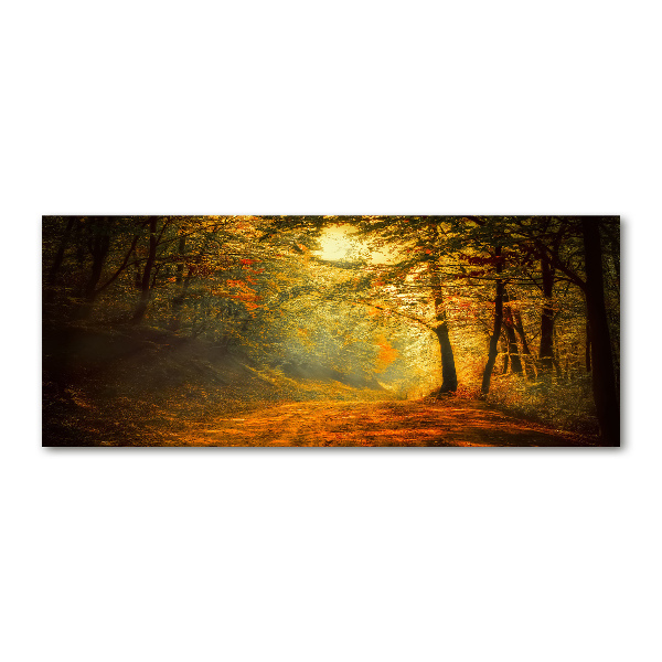 Acrylglas-Druck Wald im Herbst