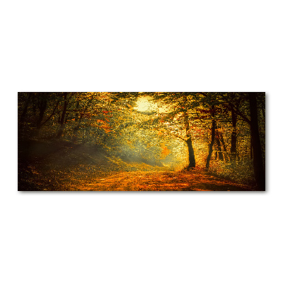 Acrylglas-Druck Wald im Herbst