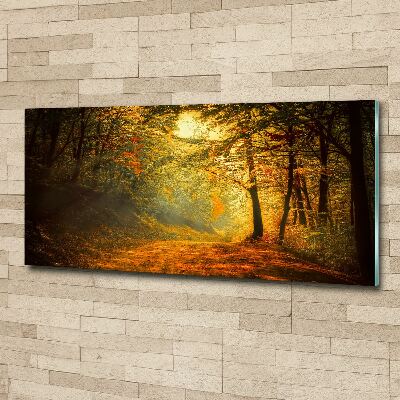 Acrylglas-Druck Wald im Herbst