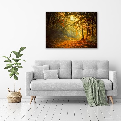 Acrylglas-Druck Wald im Herbst