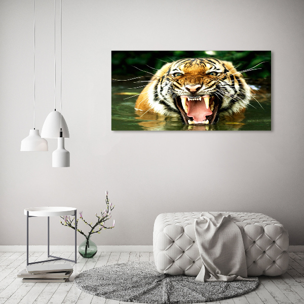 Bild auf Acrylglas Brüllender Tiger