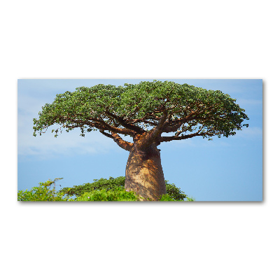 Acrylglas-Druck Baobab
