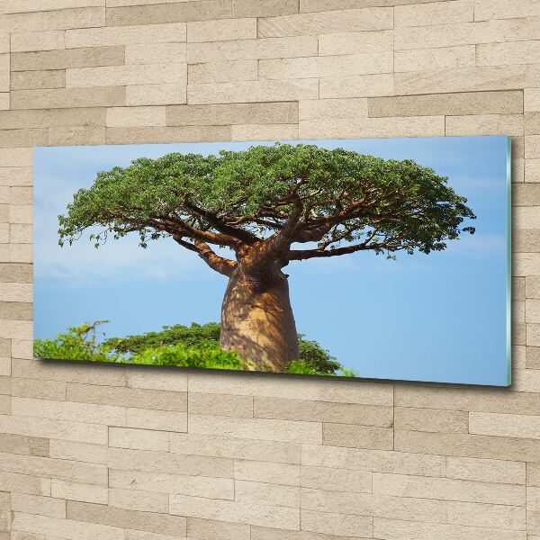 Acrylglas-Druck Baobab