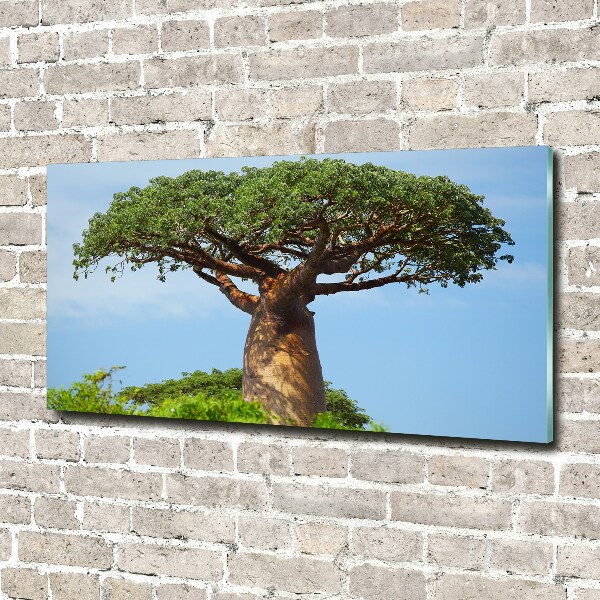 Acrylglas-Druck Baobab