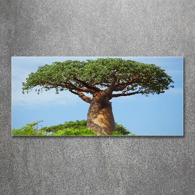 Acrylglas-Druck Baobab