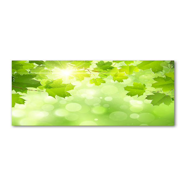 Foto auf Acryl Rosskastanienblätter