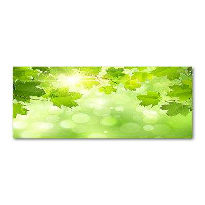 Foto auf Acryl Rosskastanienblätter