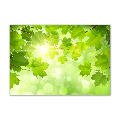 Foto auf Acryl Rosskastanienblätter