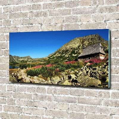 Acrylglas-Druck Schäferhütte im Tal