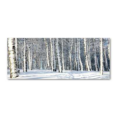 Bild auf Acrylglas Wald im Winter